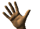 01_28_t.gif (14711 bytes)